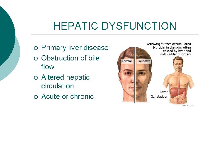 HEPATIC DYSFUNCTION ¡ ¡ Primary liver disease Obstruction of bile flow Altered hepatic circulation