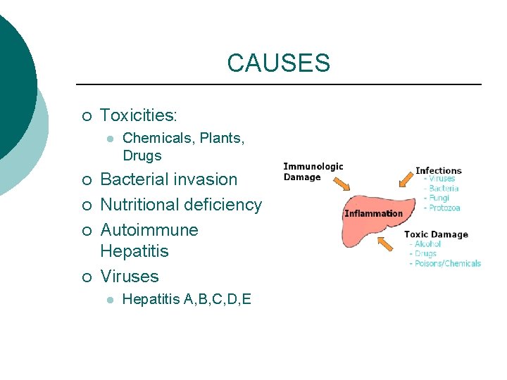 CAUSES ¡ Toxicities: l ¡ ¡ Chemicals, Plants, Drugs Bacterial invasion Nutritional deficiency Autoimmune