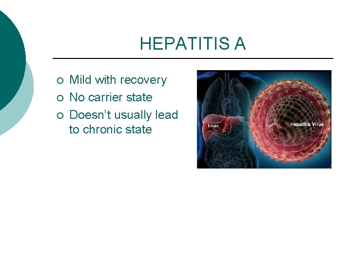 HEPATITIS A ¡ ¡ ¡ Mild with recovery No carrier state Doesn’t usually lead