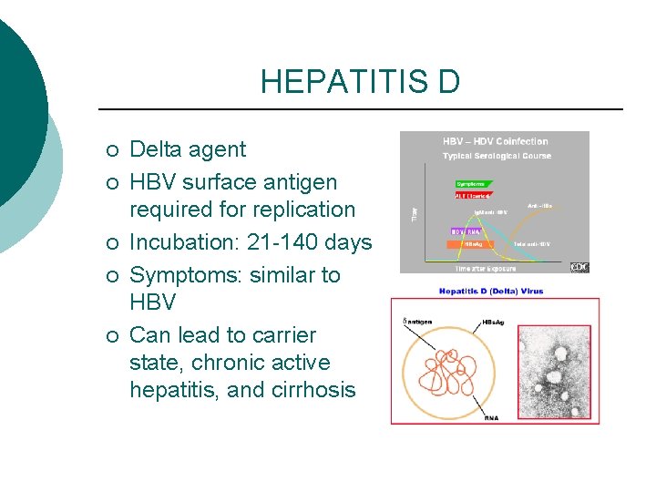 HEPATITIS D ¡ ¡ ¡ Delta agent HBV surface antigen required for replication Incubation:
