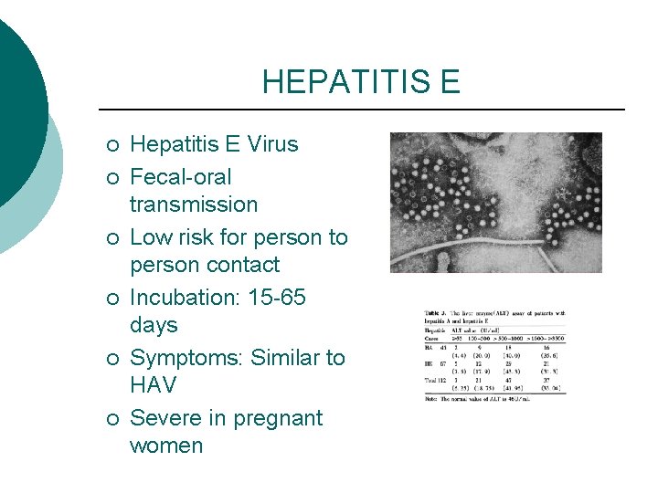 HEPATITIS E ¡ ¡ ¡ Hepatitis E Virus Fecal-oral transmission Low risk for person