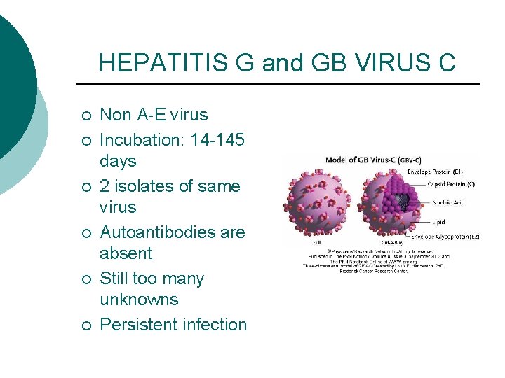 HEPATITIS G and GB VIRUS C ¡ ¡ ¡ Non A-E virus Incubation: 14