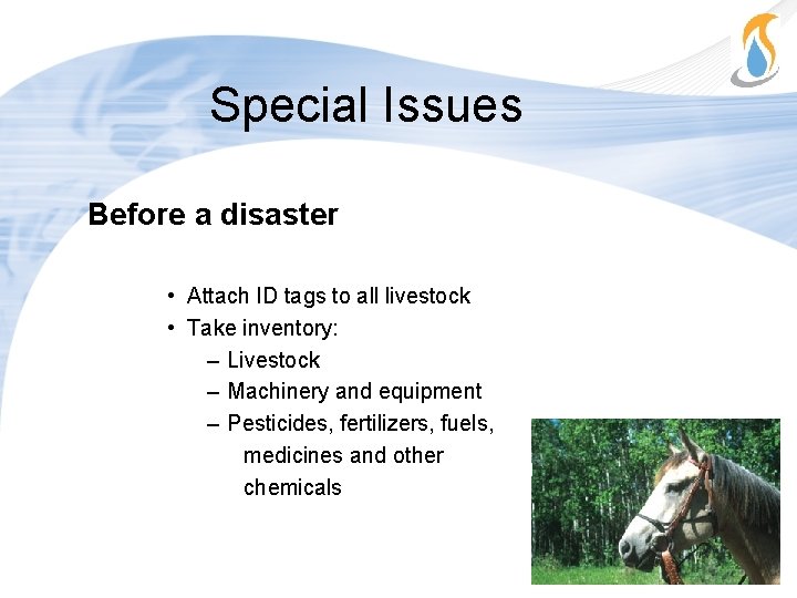 Special Issues Before a disaster • Attach ID tags to all livestock • Take