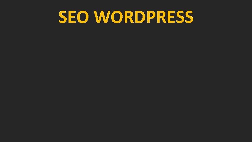 SEO WORDPRESS 