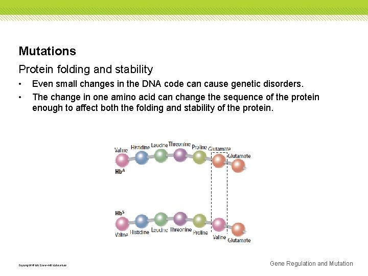 Mutations Protein folding and stability • • Even small changes in the DNA code