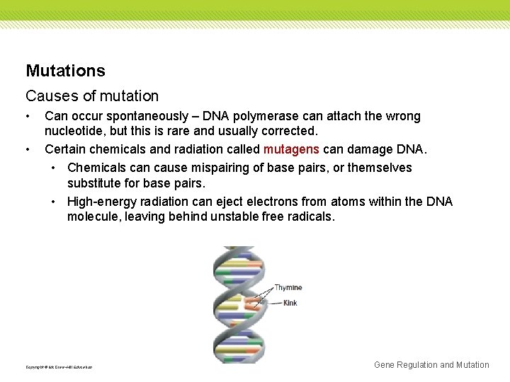 Mutations Causes of mutation • • Can occur spontaneously – DNA polymerase can attach