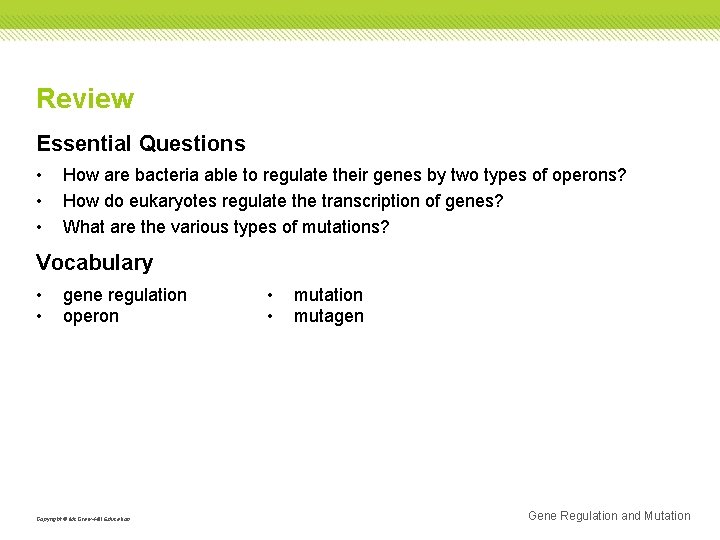 Review Essential Questions • • • How are bacteria able to regulate their genes