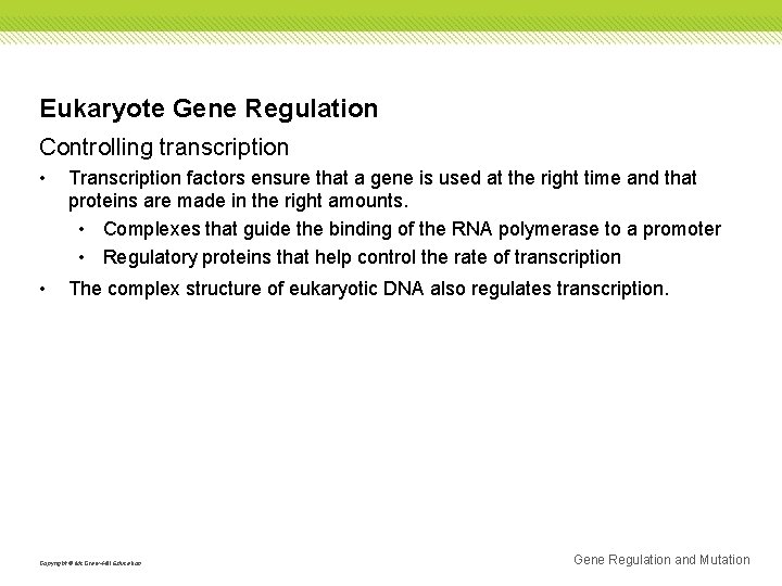 Eukaryote Gene Regulation Controlling transcription • Transcription factors ensure that a gene is used
