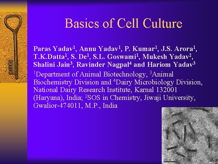 Basics of Cell Culture Paras Yadav 1, Annu Yadav 1, P. Kumar 1, J.