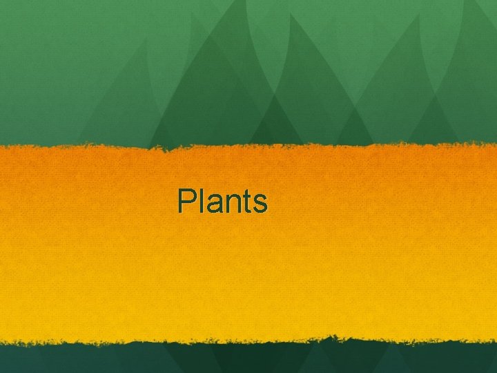 Plants 