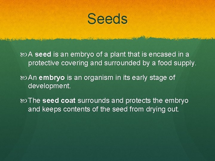 Seeds A seed is an embryo of a plant that is encased in a Seeds A seed is an embryo of a plant that is encased in a