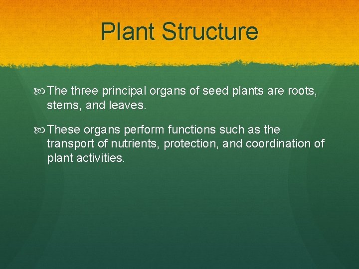 Plant Structure The three principal organs of seed plants are roots, stems, and leaves.