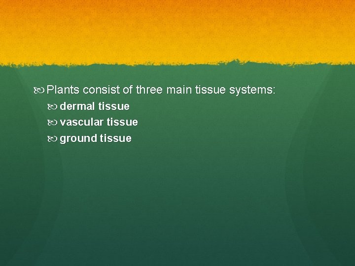  Plants consist of three main tissue systems: dermal tissue vascular tissue ground tissue