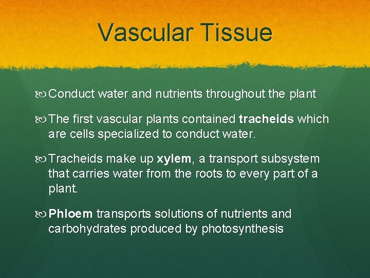 Vascular Tissue Conduct water and nutrients throughout the plant The first vascular plants contained Vascular Tissue Conduct water and nutrients throughout the plant The first vascular plants contained