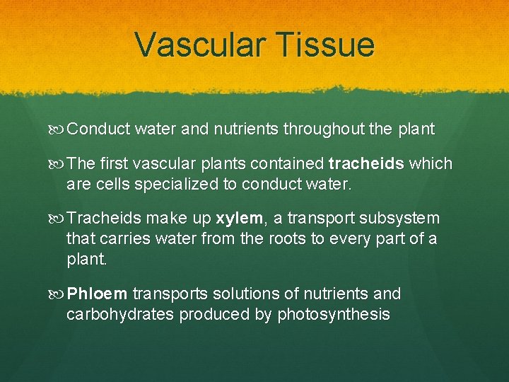 Vascular Tissue Conduct water and nutrients throughout the plant The first vascular plants contained