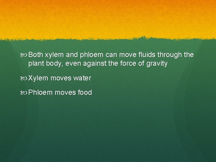 Both xylem and phloem can move fluids through the plant body, even against Both xylem and phloem can move fluids through the plant body, even against