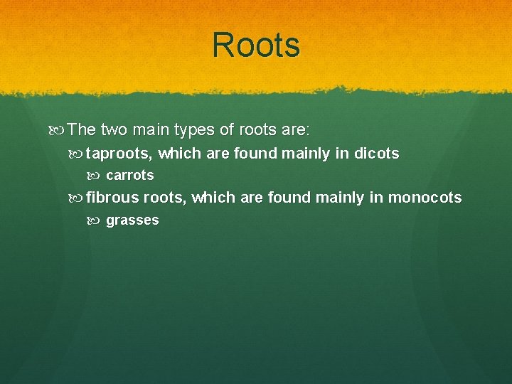 Roots The two main types of roots are: taproots, which are found mainly in