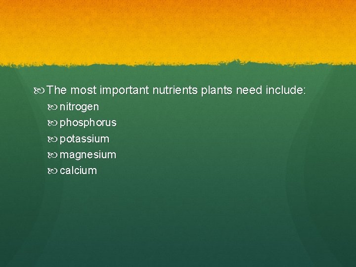 The most important nutrients plants need include: nitrogen phosphorus potassium magnesium calcium The most important nutrients plants need include: nitrogen phosphorus potassium magnesium calcium