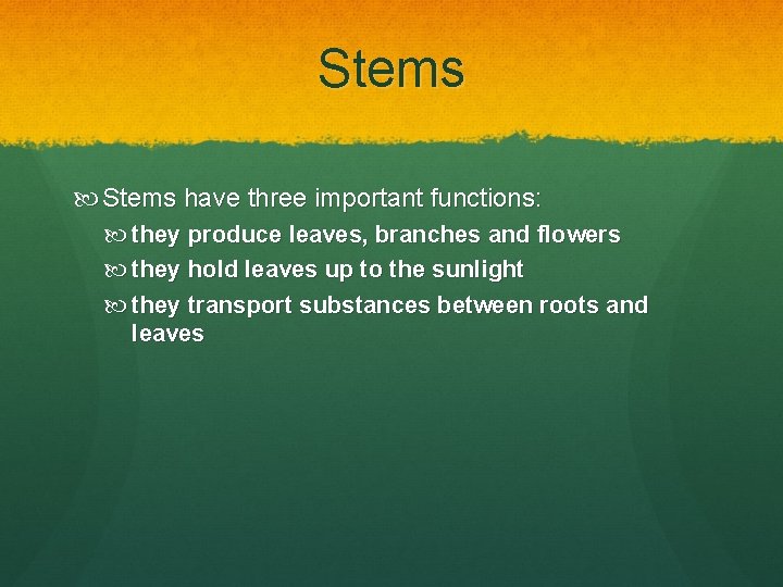 Stems have three important functions: they produce leaves, branches and flowers they hold leaves Stems have three important functions: they produce leaves, branches and flowers they hold leaves