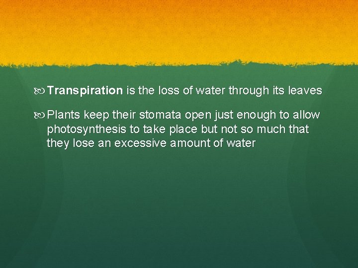 Transpiration is the loss of water through its leaves Plants keep their stomata Transpiration is the loss of water through its leaves Plants keep their stomata
