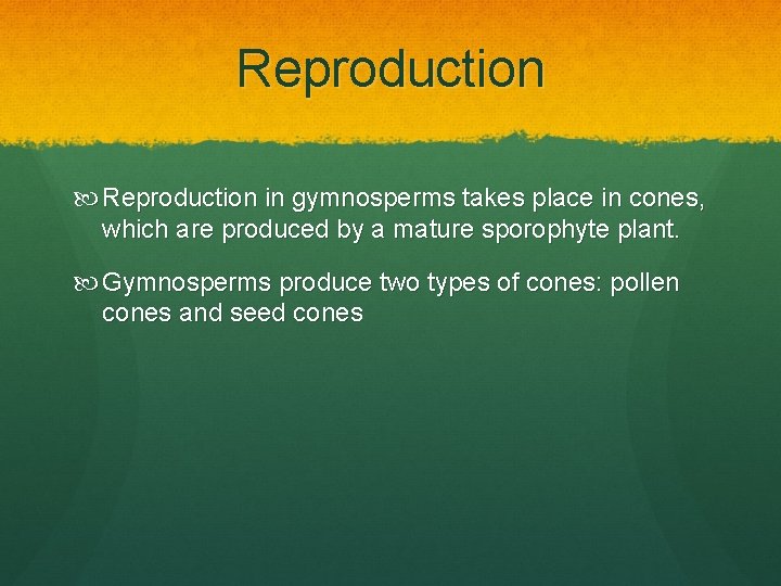 Reproduction in gymnosperms takes place in cones, which are produced by a mature sporophyte