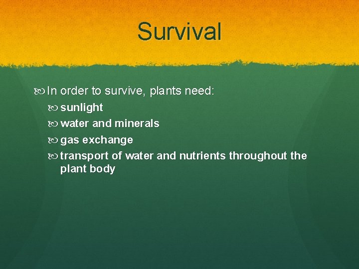 Survival In order to survive, plants need: sunlight water and minerals gas exchange transport