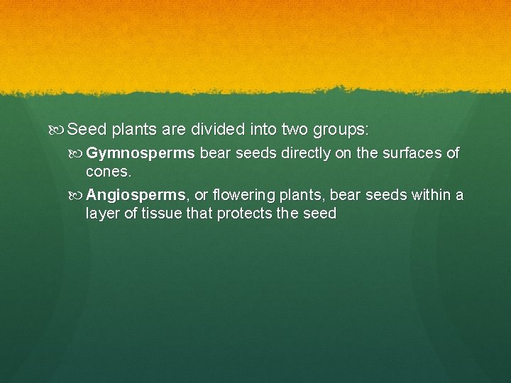  Seed plants are divided into two groups: Gymnosperms bear seeds directly on the