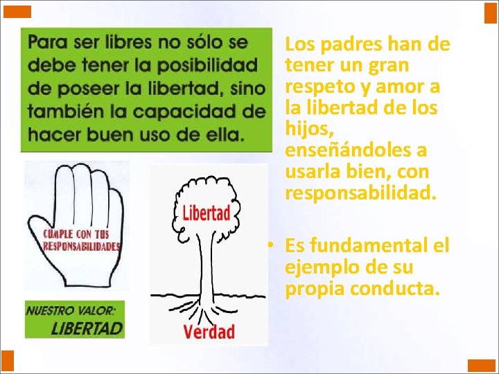  • Los padres han de tener un gran respeto y amor a la