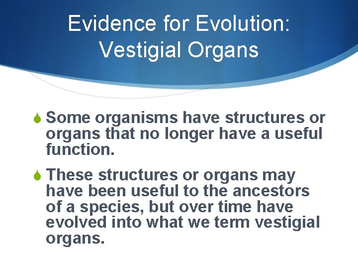 Evidence for Evolution: Vestigial Organs S Some organisms have structures or organs that no