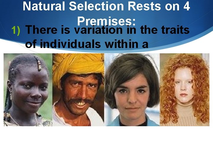 Natural Selection Rests on 4 Premises: 1) There is variation in the traits of Natural Selection Rests on 4 Premises: 1) There is variation in the traits of