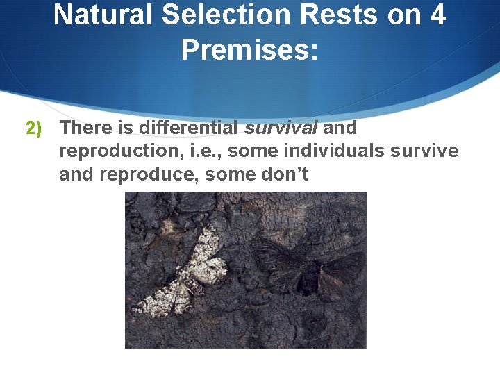 Natural Selection Rests on 4 Premises: 2) There is differential survival and reproduction, i.