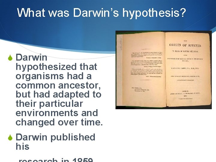 What was Darwin’s hypothesis? S Darwin hypothesized that organisms had a common ancestor, but