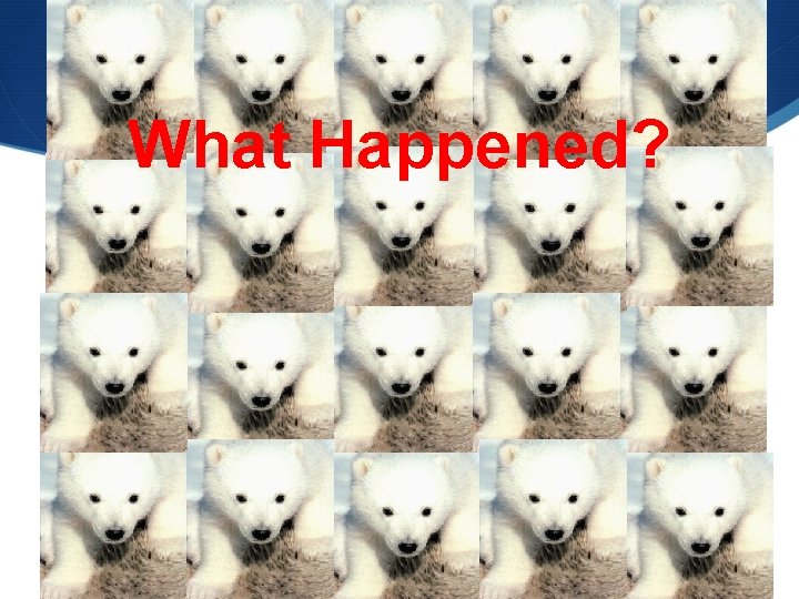 What Happened? 