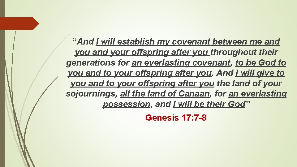 “And I will establish my covenant between me and your offspring after you throughout
