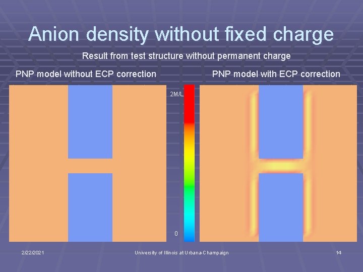 Anion density without fixed charge Result from test structure without permanent charge PNP model