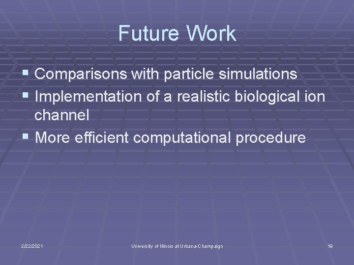 Future Work § Comparisons with particle simulations § Implementation of a realistic biological ion