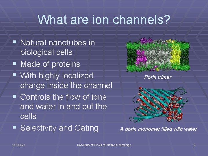 What are ion channels? § Natural nanotubes in § § biological cells Made of