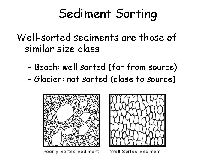 Sediment Sorting Well-sorted sediments are those of similar size class – Beach: well sorted