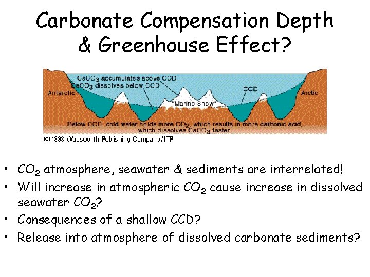 Carbonate Compensation Depth & Greenhouse Effect? • CO 2 atmosphere, seawater & sediments are