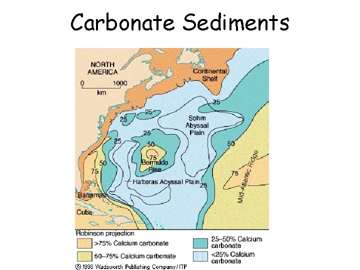 Carbonate Sediments 
