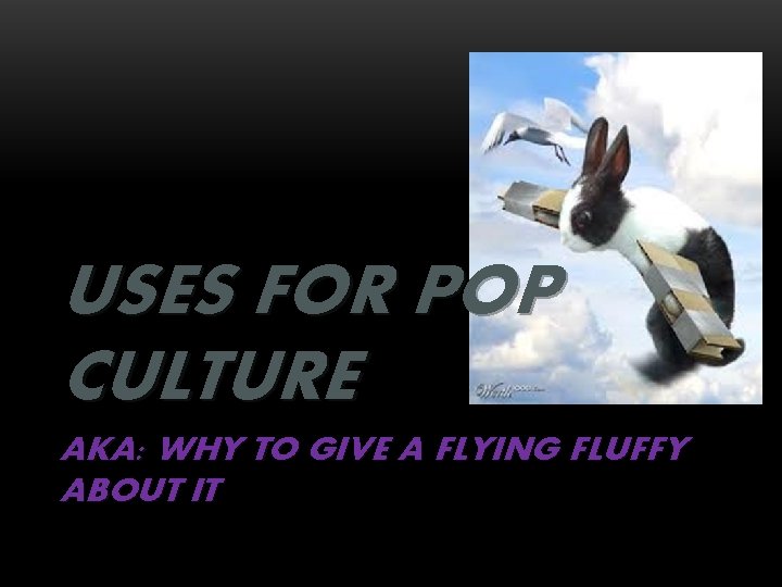 USES FOR POP CULTURE AKA: WHY TO GIVE A FLYING FLUFFY ABOUT IT 