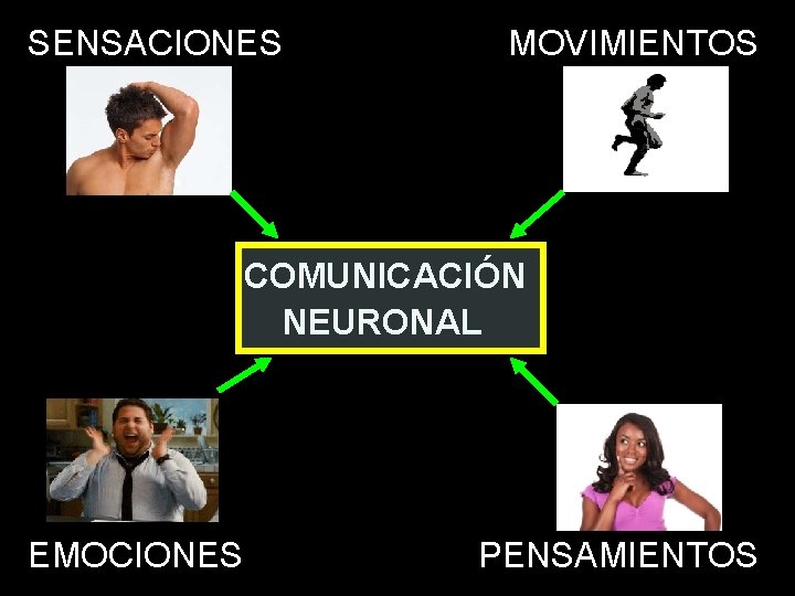 SENSACIONES MOVIMIENTOS COMUNICACIÓN NEURONAL EMOCIONES PENSAMIENTOS 