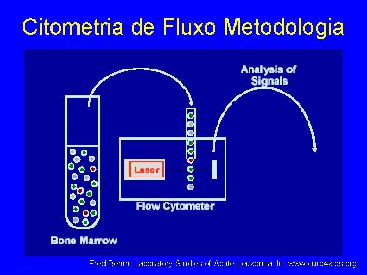 Citometria de Fluxo Metodologia Fred Behm. Laboratory Studies of Acute Leukemia. In: www. cure Citometria de Fluxo Metodologia Fred Behm. Laboratory Studies of Acute Leukemia. In: www. cure