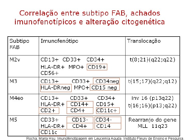 Rocha, Maria Hsu. Imunofenotipagem em Leucemia Aguda. Instituto Fleury de Ensino e Pesquisa. Rocha, Maria Hsu. Imunofenotipagem em Leucemia Aguda. Instituto Fleury de Ensino e Pesquisa.