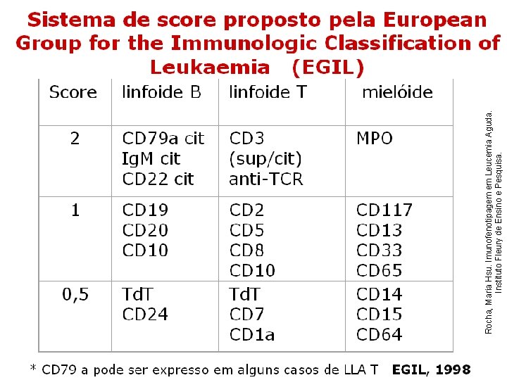 Rocha, Maria Hsu. Imunofenotipagem em Leucemia Aguda. Instituto Fleury de Ensino e Pesquisa. Rocha, Maria Hsu. Imunofenotipagem em Leucemia Aguda. Instituto Fleury de Ensino e Pesquisa.
