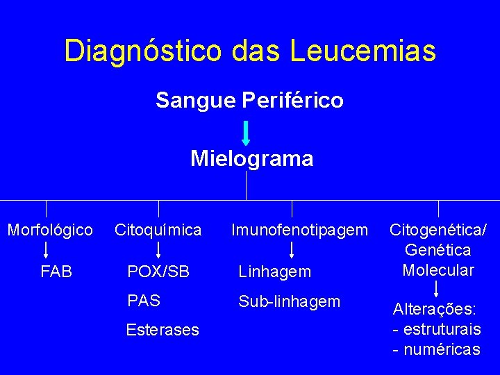 Diagnóstico das Leucemias Sangue Periférico Mielograma Morfológico FAB Citoquímica Imunofenotipagem POX/SB Linhagem PAS Sub-linhagem Diagnóstico das Leucemias Sangue Periférico Mielograma Morfológico FAB Citoquímica Imunofenotipagem POX/SB Linhagem PAS Sub-linhagem