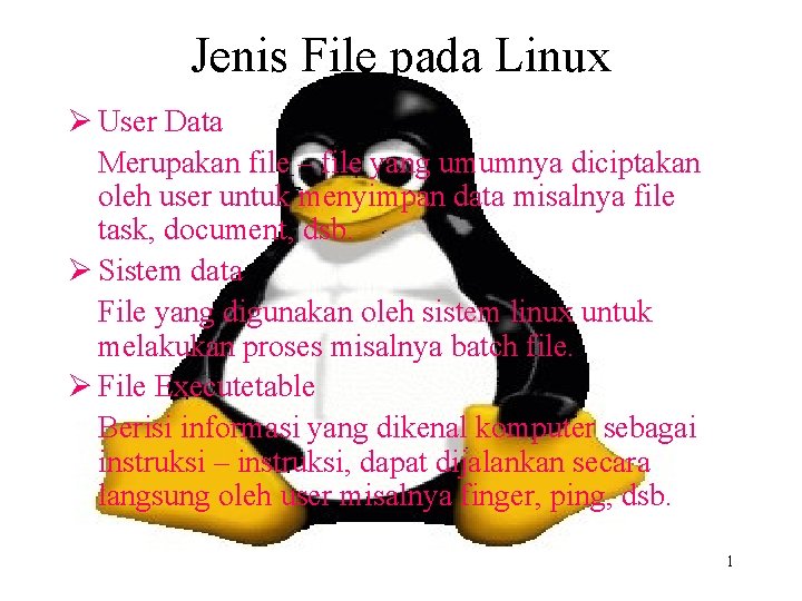 Jenis File pada Linux Ø User Data Merupakan file – file yang umumnya diciptakan