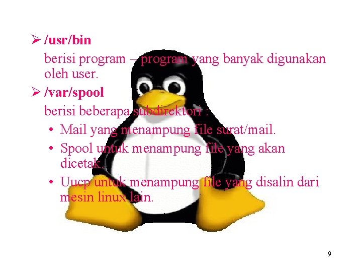 Ø /usr/bin berisi program – program yang banyak digunakan oleh user. Ø /var/spool berisi