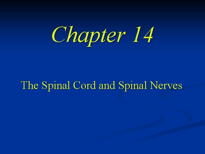 Chapter 14 The Spinal Cord and Spinal Nerves 