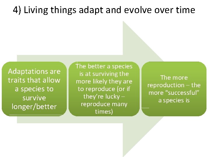 4) Living things adapt and evolve over time Adaptations are traits that allow a